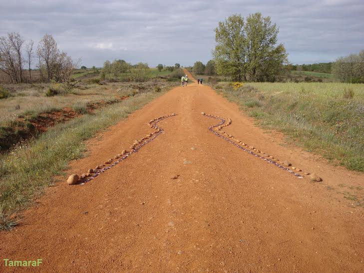 Pielgrzymi pozostawiają sobie serdeczne znaki. Tutaj strzałka na drodze ułożona z kwiatów i kamyczków.