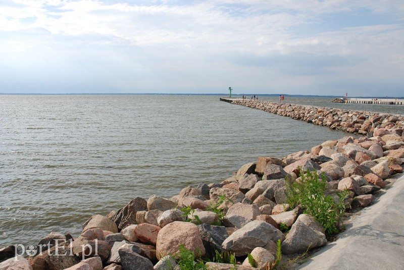 Elbląg Damy radę, kapitanie!