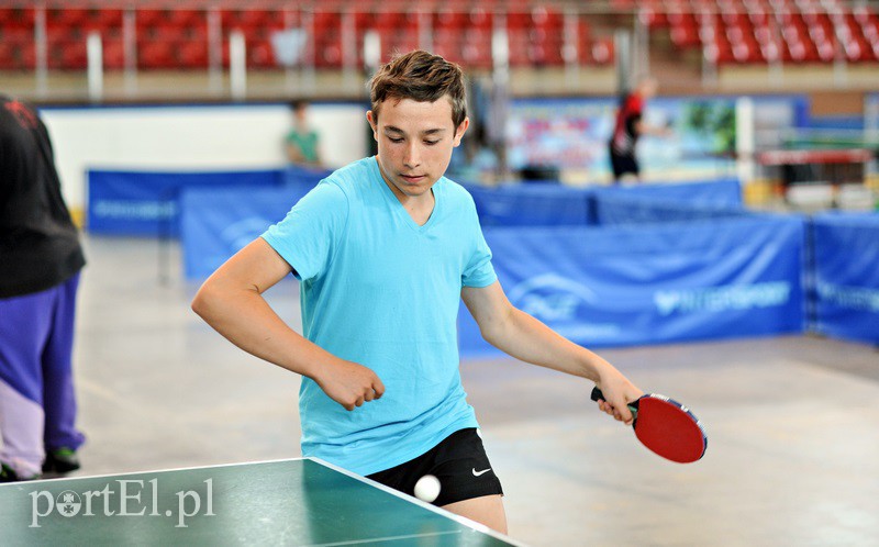 W ping-ponga na lodowisku zdjęcie nr 131917