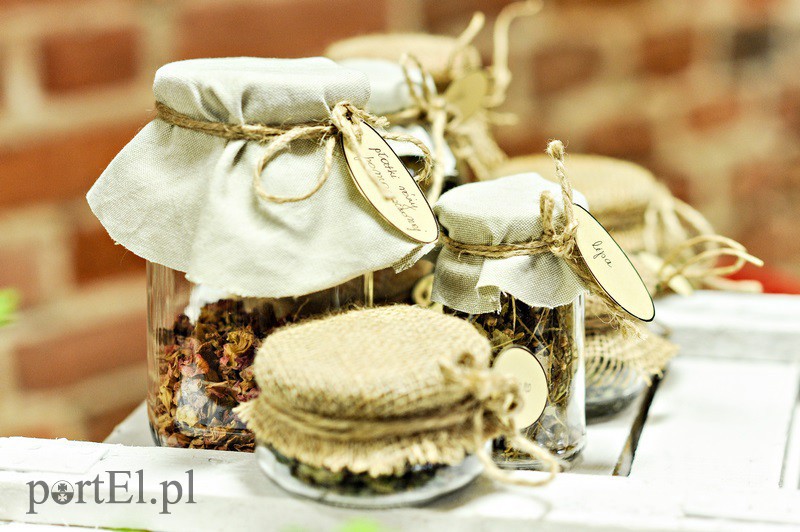 „Zielone lato w bibliotece” zdjęcie nr 132011