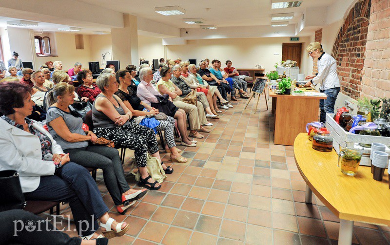 „Zielone lato w bibliotece” zdjęcie nr 131999