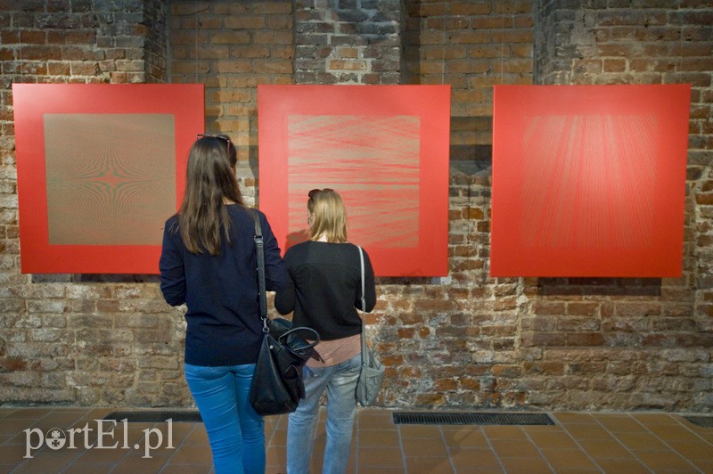 Codemanipulator w Galerii El zdjęcie nr 132033