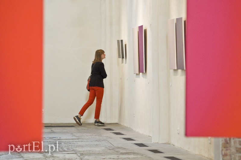 Codemanipulator w Galerii El zdjęcie nr 132036