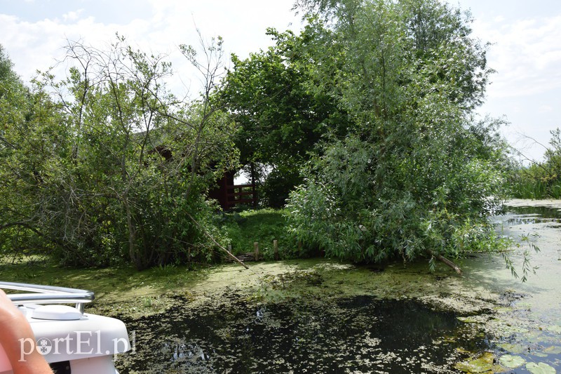 Nuda, nic się nie dzieje. I dobrze zdjęcie nr 132325