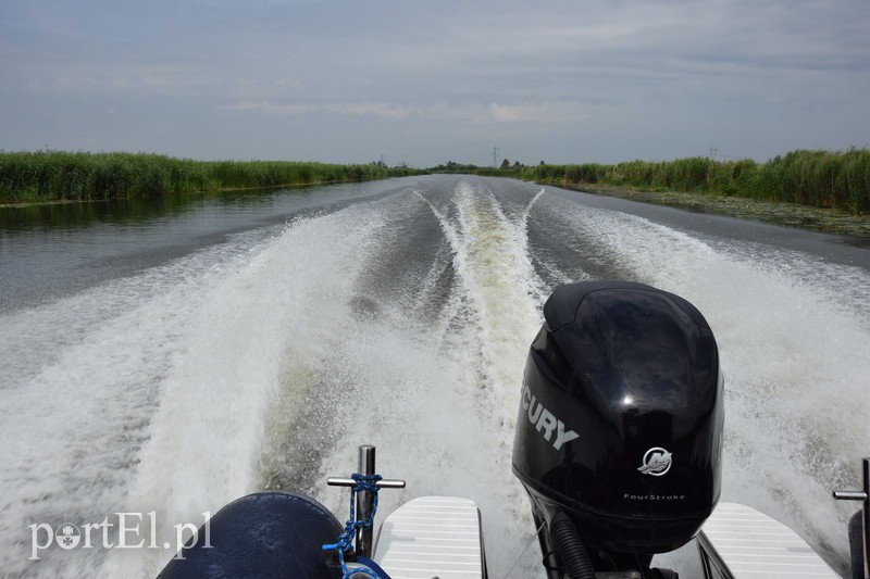 Nuda, nic się nie dzieje. I dobrze zdjęcie nr 132318