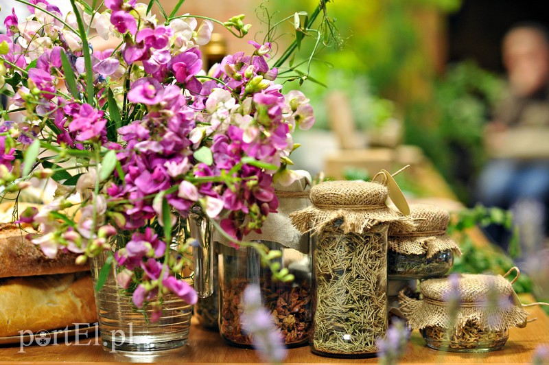 Seniorzy przenieśli się w świat lawendy zdjęcie nr 132368