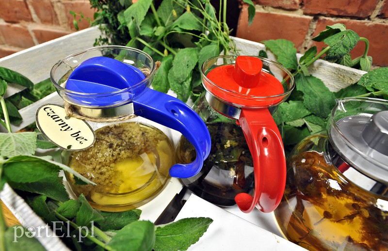 Seniorzy przenieśli się w świat lawendy zdjęcie nr 132364