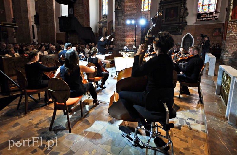 EOK „przeciągnęła strunę” – to były wspaniałe występy zdjęcie nr 132438