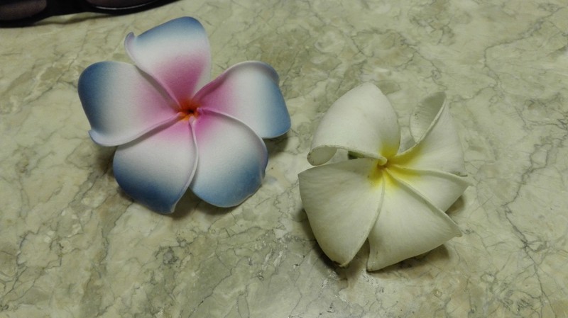 Kwiat Lei – to jeden z dwóch najbardziej popularnych kwiatów na Hawajach (ten drugi to hibiskus). Jest piękny i