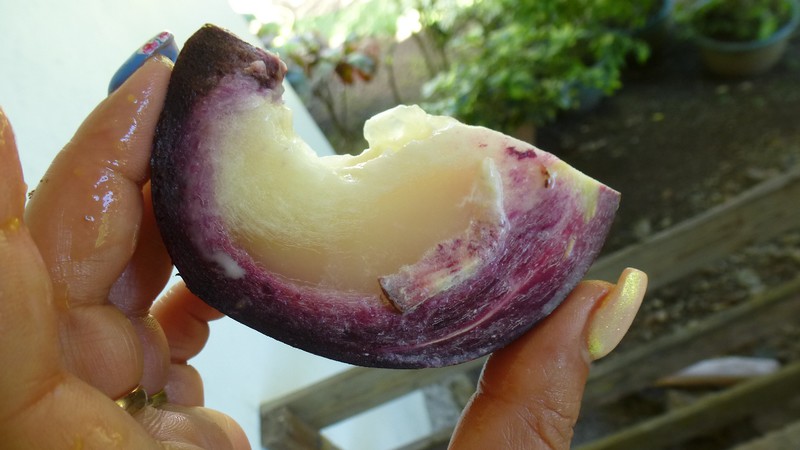 Fotoreportaż z Hawai. Nowy dla mnie owoc Star Apple - można jeść tylko część białą, smakuje trochę jak liczi, jak