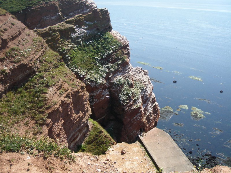 Helgoland. Uzdrowisko na Morzu Północnym, schronienie dla wielu ptaków m.in. orłów i wielu gatunków mew, które