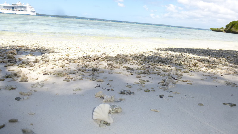 Lifou. Trudno bez ochronnych butów spacerować w wodzie i po plaży