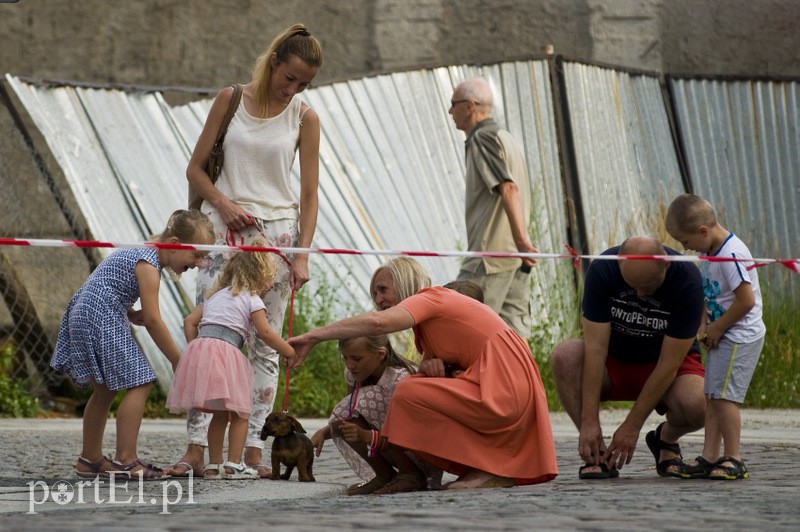  Historia wyszła na ulicę zdjęcie nr 133337