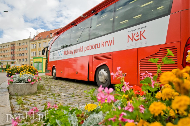 Elbląg  Krew zawsze w najwyższej cenie