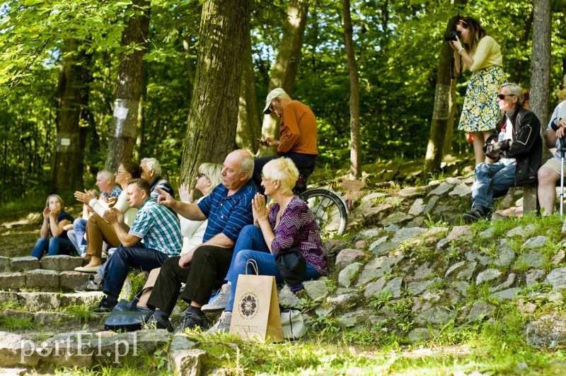 Paryski klimat w środku lasu zdjęcie nr 133800