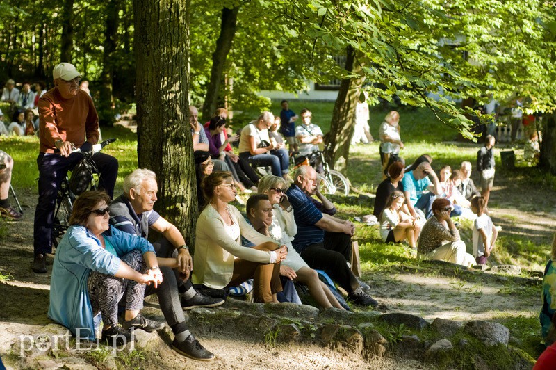 Paryski klimat w środku lasu zdjęcie nr 133808