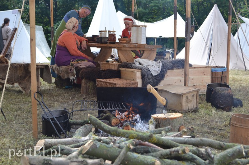 Wikingowie na Wyspie Spichrzów zdjęcie nr 133972