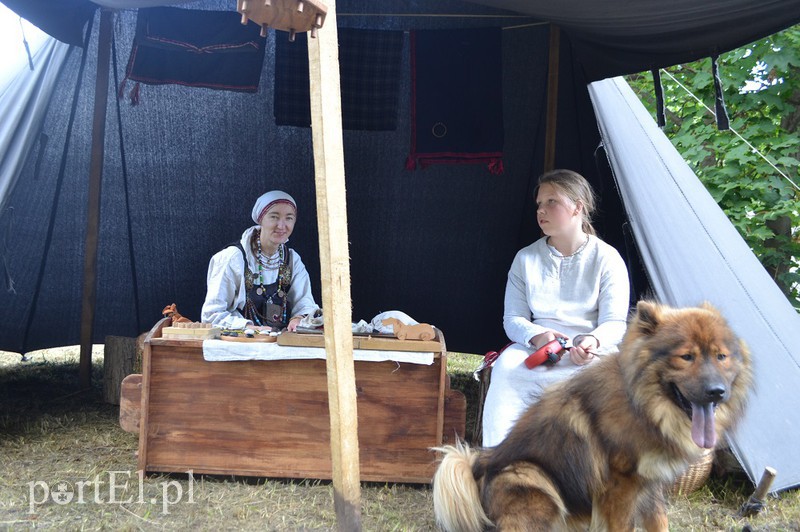 Wikingowie na Wyspie Spichrzów zdjęcie nr 133982