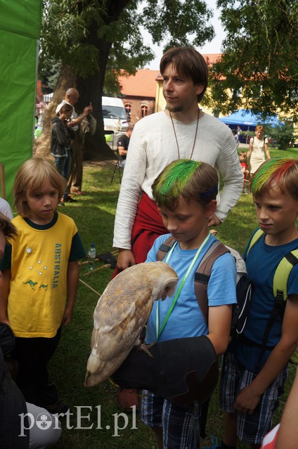 Jarmark św. Bartłomieja w Pasłęku zdjęcie nr 134422