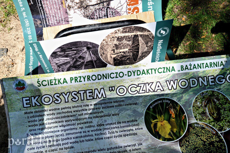 Informacja poszła w las zdjęcie nr 134569