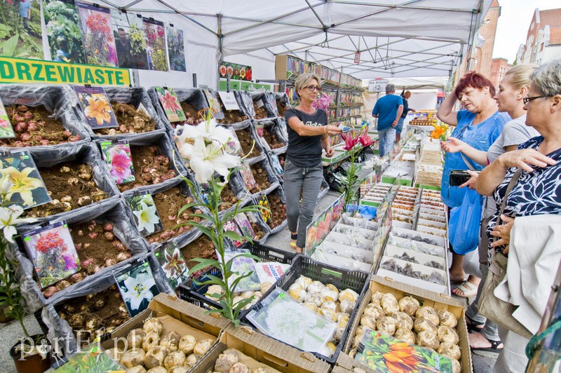  Chleb i coś do chleba zdjęcie nr 135121