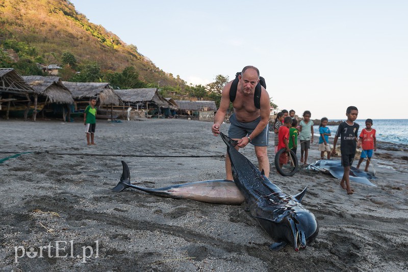 Lamalera, wioska wielorybników na wyspie Lembata- Indonezja