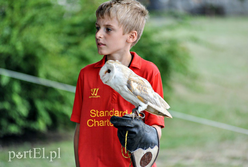 Na starówce smacznie i gwarno zdjęcie nr 135261