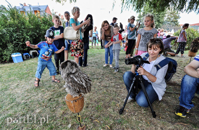 Na starówce smacznie i gwarno zdjęcie nr 135262