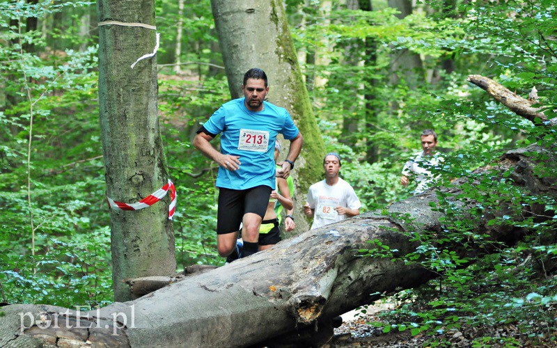 Gonili po Bażantarni zdjęcie nr 136306