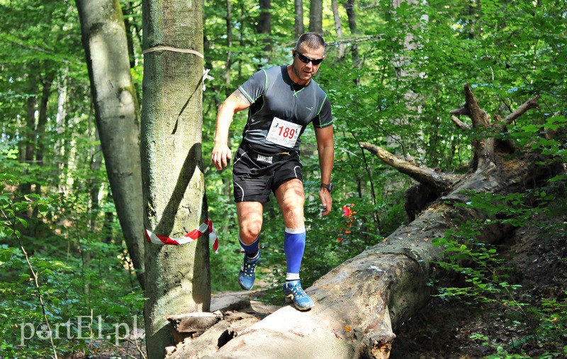 Gonili po Bażantarni zdjęcie nr 136303