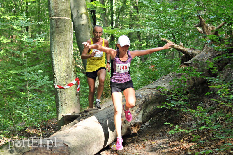 Gonili po Bażantarni zdjęcie nr 136301