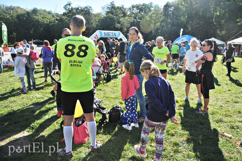 Elbląg Gonili po Bażantarni