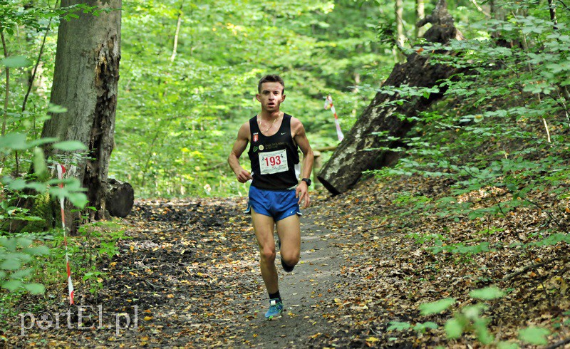 Gonili po Bażantarni zdjęcie nr 136291