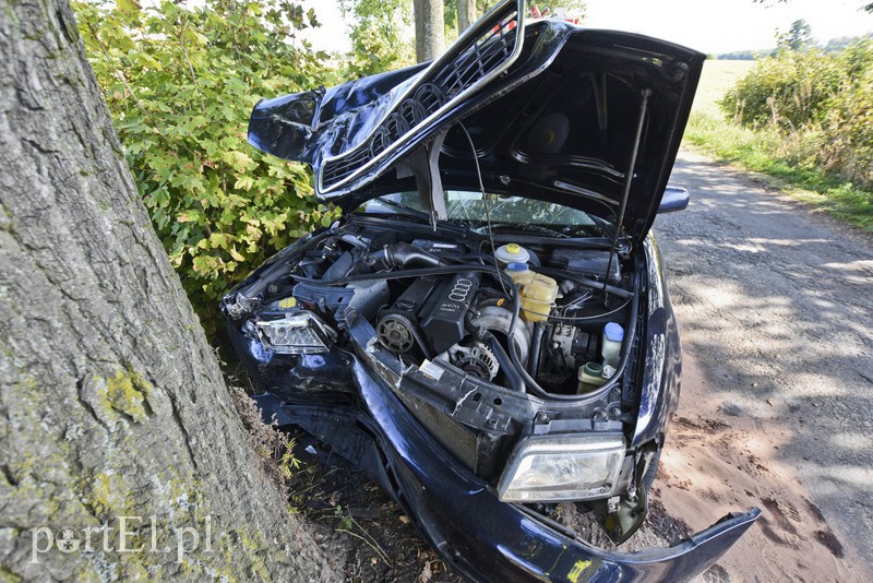 19-latka w audi uderzyła w drzewo zdjęcie nr 136772