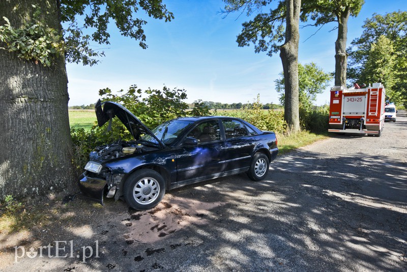 19-latka w audi uderzyła w drzewo zdjęcie nr 136774