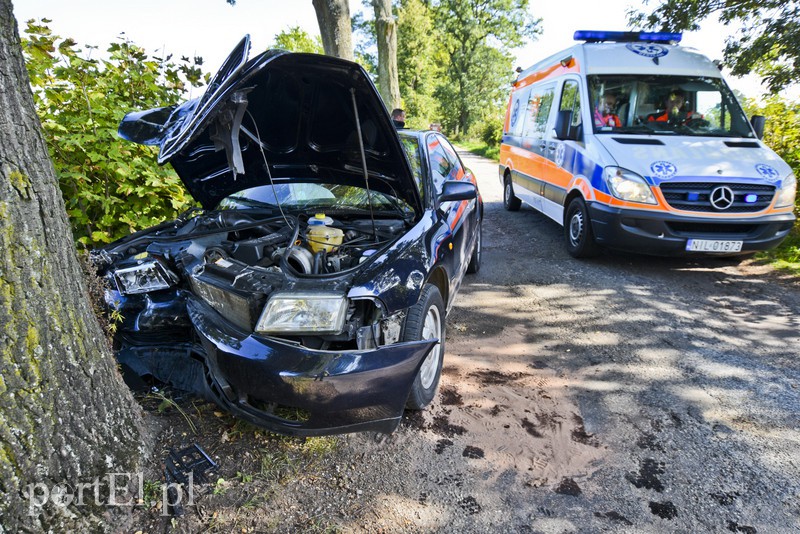 19-latka w audi uderzyła w drzewo zdjęcie nr 136776