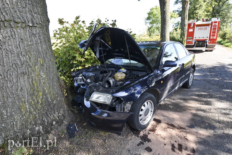 Elbląg 19-latka w audi uderzyła w drzewo