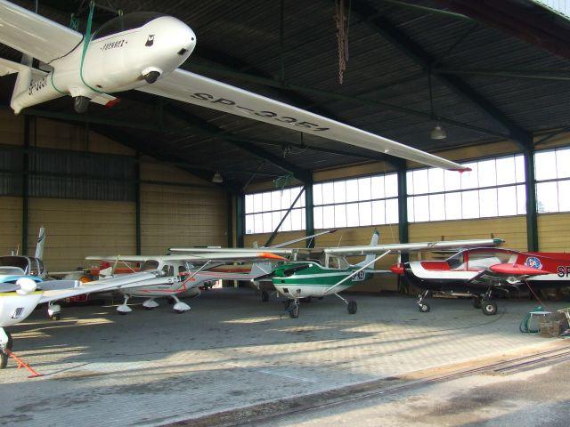 Ferie w aeroklubie zdjęcie nr 10760