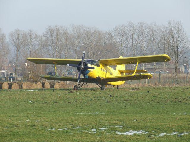 Ferie w aeroklubie zdjęcie nr 10758