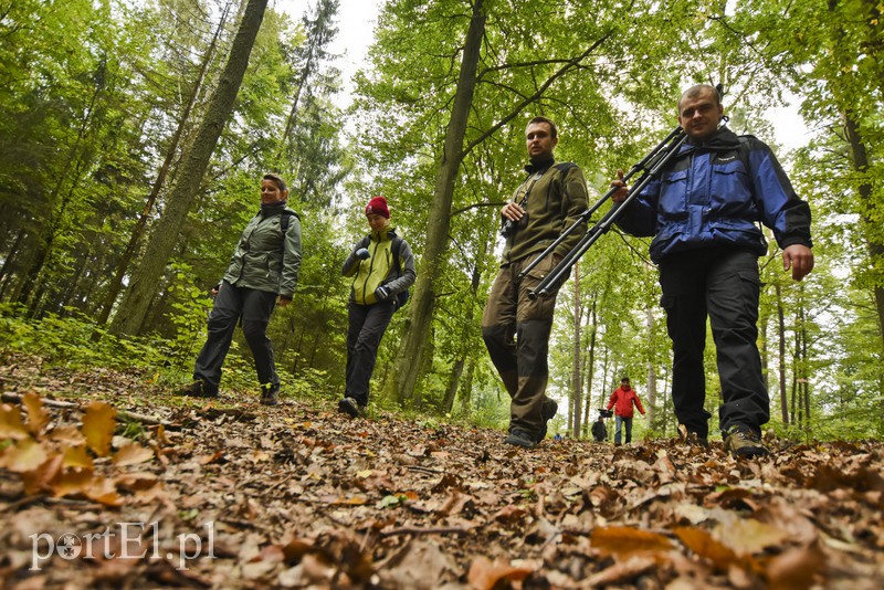 Wilk nie jest ani dobry, ani zły zdjęcie nr 136906