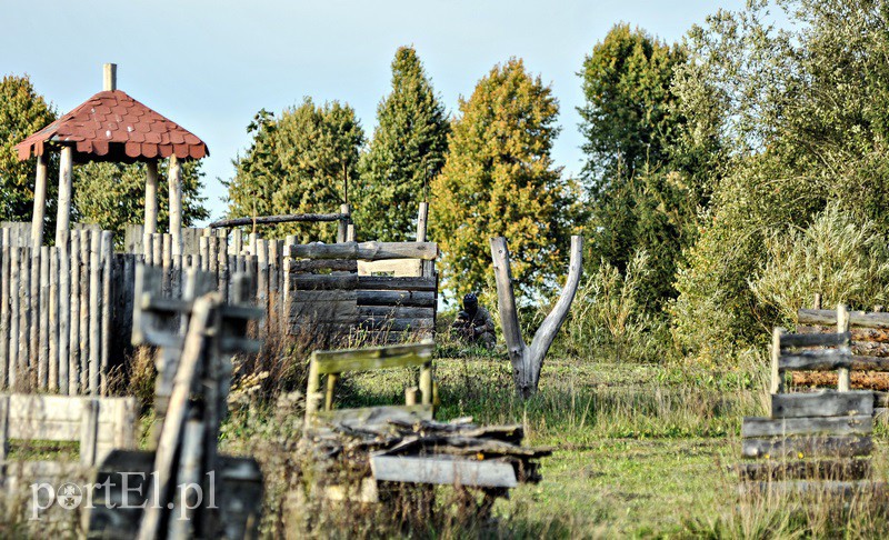 portEl.pl testuje: Otworzyć ogień zdjęcie nr 137242