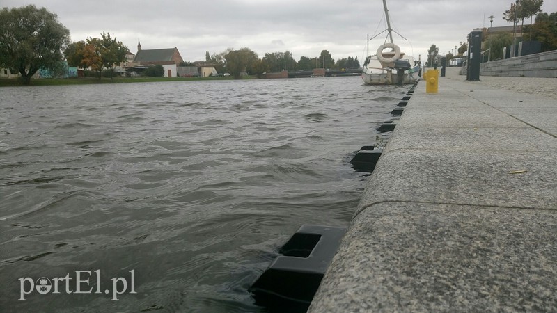 Zdjęcie nadesłane przez Czytelnika