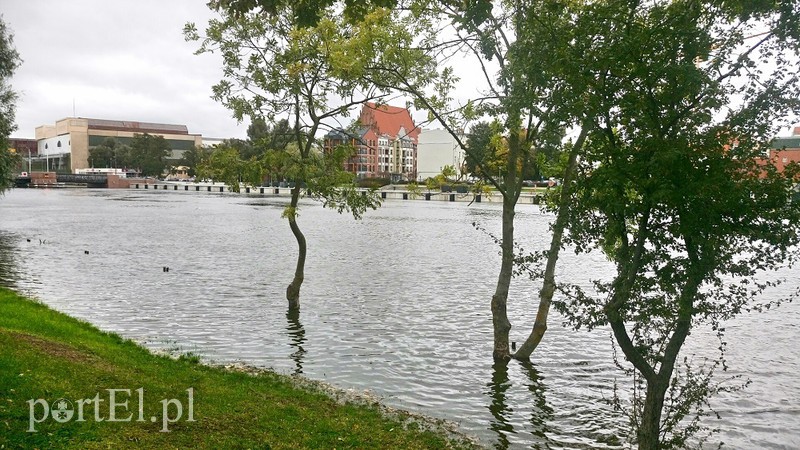 Zdjęcie nadesłane przez Czytelnika