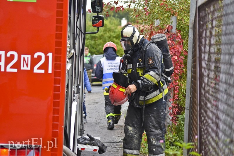 Pożar poddasza w Dąbrowie zdjęcie nr 137467