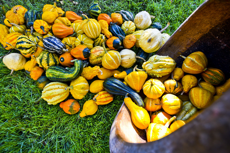 Pamiętajcie o kwiatach... zdjęcie nr 138476