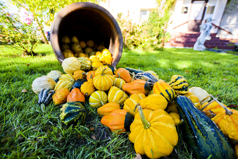 Pamiętajcie o kwiatach... zdjęcie nr 138475