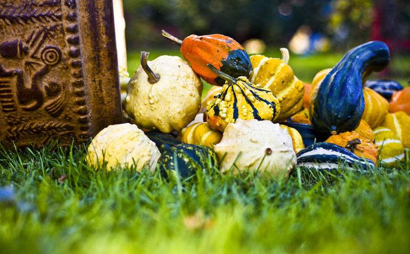 Pamiętajcie o kwiatach... zdjęcie nr 138478