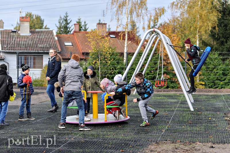 Zjazd linowy hitem „Mrówkolandii” zdjęcie nr 138860