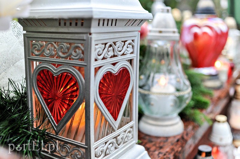 1 listopada na cmentarzu Agrykola zdjęcie nr 139145