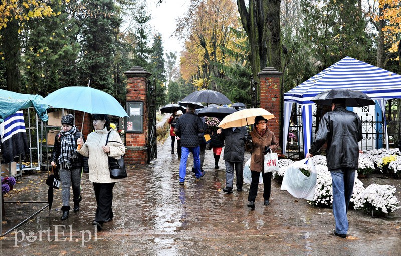 1 listopada na cmentarzu Agrykola zdjęcie nr 139149